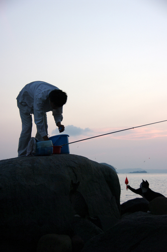 釣り人とネコたち4w2.jpg