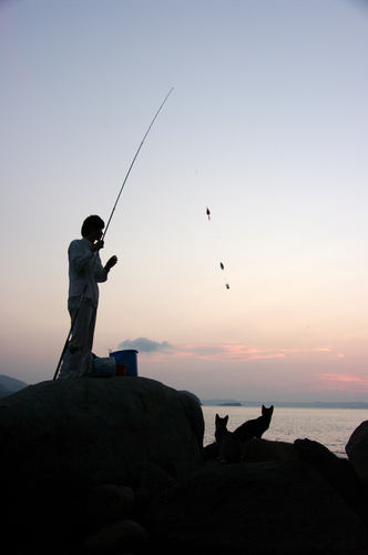 釣り人とネコたちw.jpg